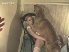 A brute is fucking an amazing 18-year-old blonde white wife with pigtails.